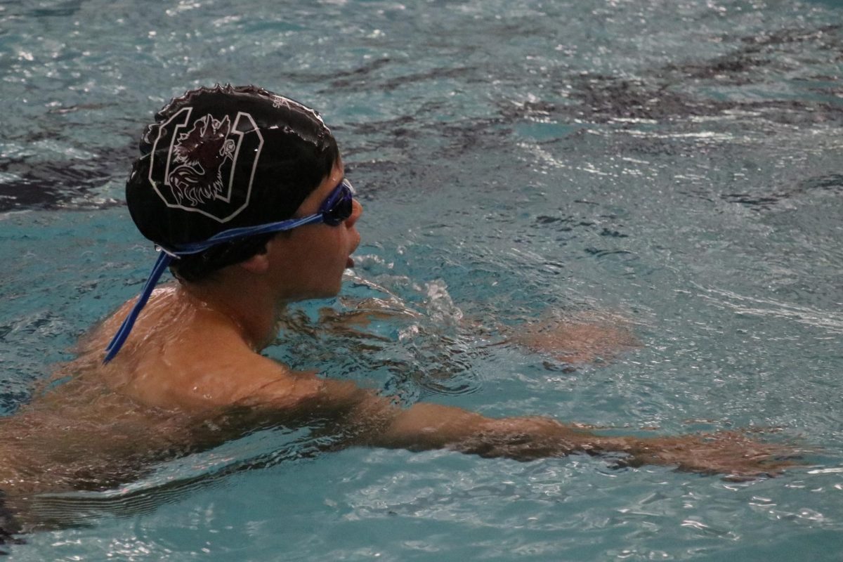 Gamecock Swim Camps draw athletes from all over the region, with students from Kentucky all the way to Singapore making the trip to Columbia to learn from Coach Jason Calanog and Nils Wich-Glasen’s expertise. 
